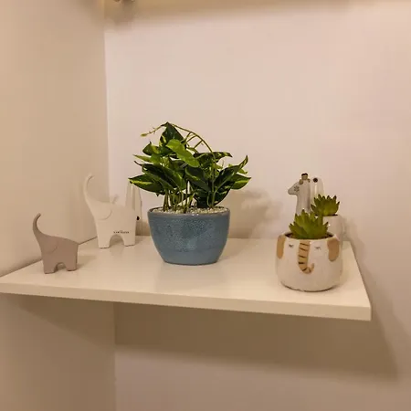 Amuni Apartment